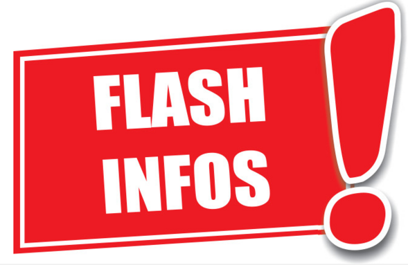 FLASH_INFO.jpg
